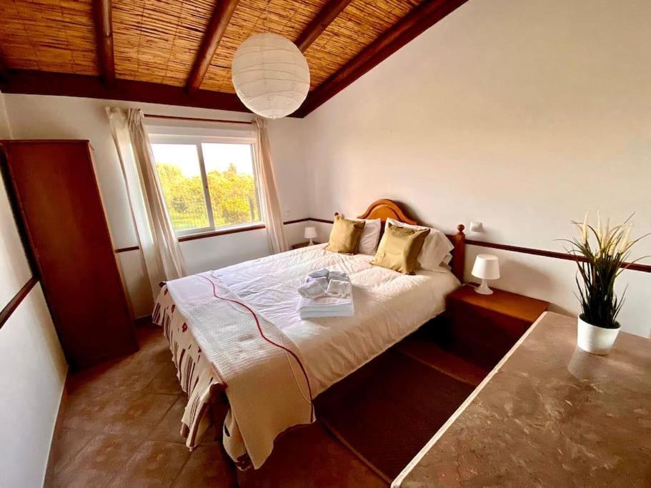 Palma'S Place Casanova Villa #Wifi#Heatedpool#Relax FAO Buitenkant foto